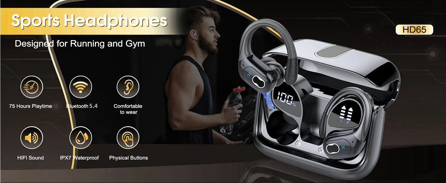 DLYL HD65 TWS Bluetooth 5.4 Wireless Earbuds