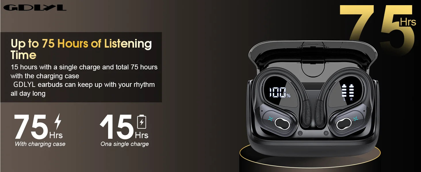 DLYL HD65 TWS Bluetooth 5.4 Wireless Earbuds